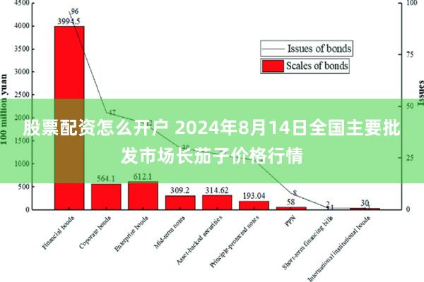 股票配资怎么开户 2024年8月14日全国主要批发市场长茄子价格行情