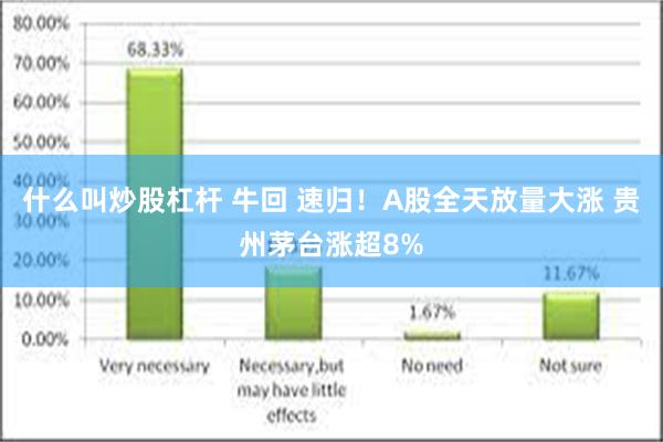 什么叫炒股杠杆 牛回 速归！A股全天放量大涨 贵州茅台涨超8%