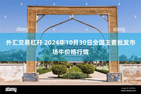 外汇交易杠杆 2024年10月30日全国主要批发市场牛价格行情