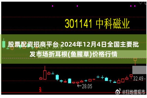 股票配资招商平台 2024年12月4日全国主要批发市场折耳根(鱼腥草)价格行情