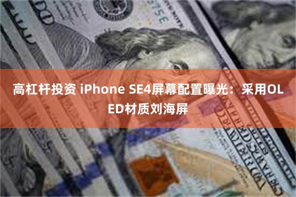 高杠杆投资 iPhone SE4屏幕配置曝光：采用OLED材质刘海屏