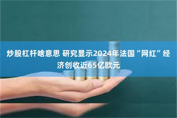 炒股杠杆啥意思 研究显示2024年法国“网红”经济创收近65亿欧元