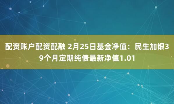 配资账户配资配融 2月25日基金净值：民生加银39个月定期纯债最新净值1.01