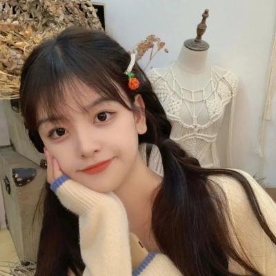 蜂蜜与四叶草第一季